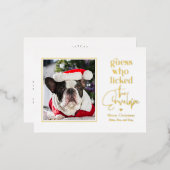 便利なペットフォイル休日はがきクリスマスカード 箔シーズンポストカード (正面/裏面)