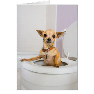 便器(水は流出しました)