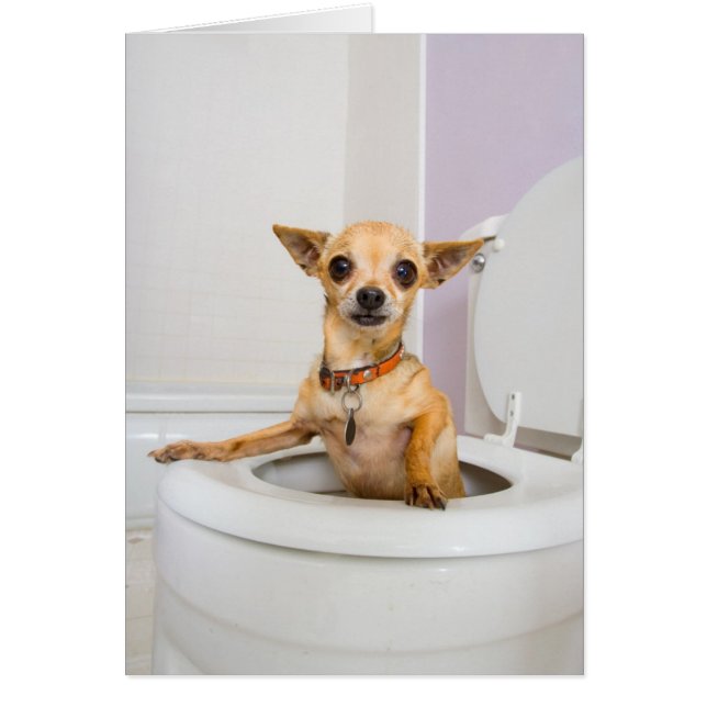 便器(水は流出しました) (正面)