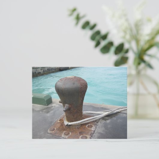 係留玉子 ポストカード (スタンド正面)