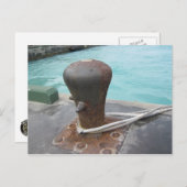 係留玉子 ポストカード (正面/裏面)