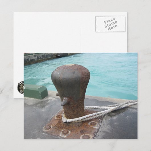 係留玉子 ポストカード (正面/裏面)