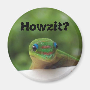 俗語の表現Howzit マグネット
