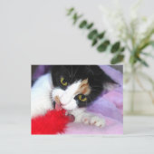 保きれい! ポストカード (スタンド正面)