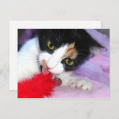 保きれい! ポストカード (正面/裏面)