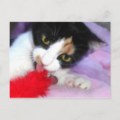 保きれい！ ポストカード (正面)