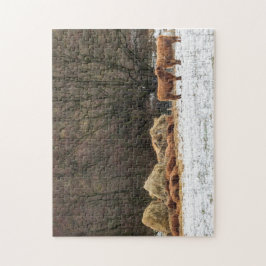 保っている冬に暖かいスコットランドの高地牛 ジグソーパズル