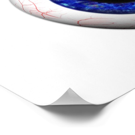 保の目 ポスター (角)