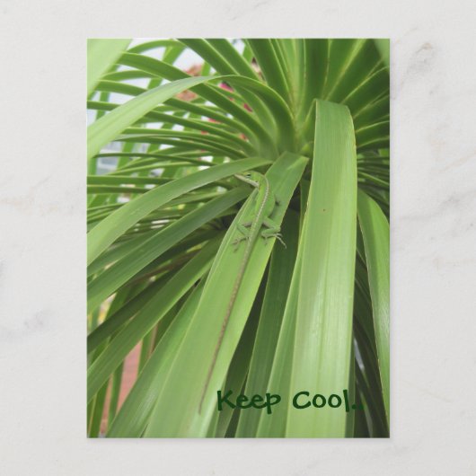 保カッコいい.. ポストカード (正面)