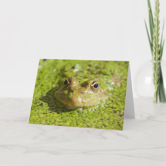 保クール カード (正面)