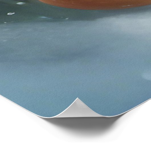 保デザイン ポスター (角)