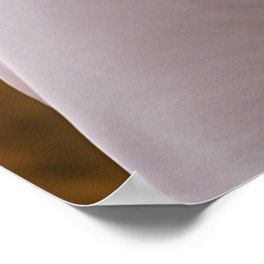 保デザイン ポスター (角)