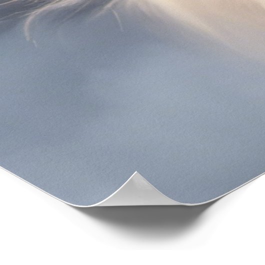 保デザイン ポスター (角)