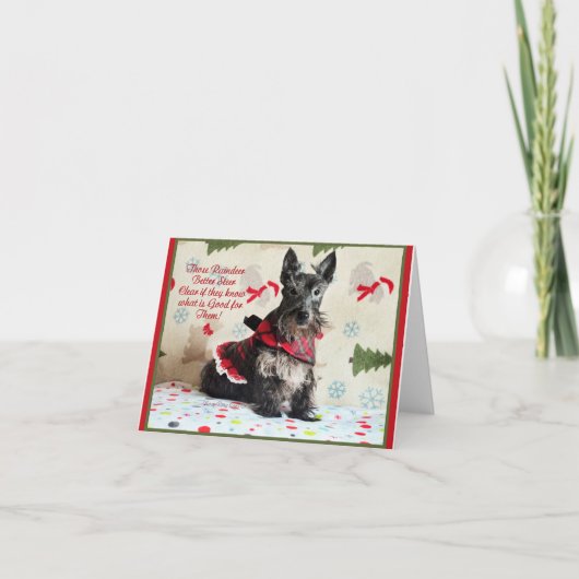 保トナ澄んイ カード (正面)