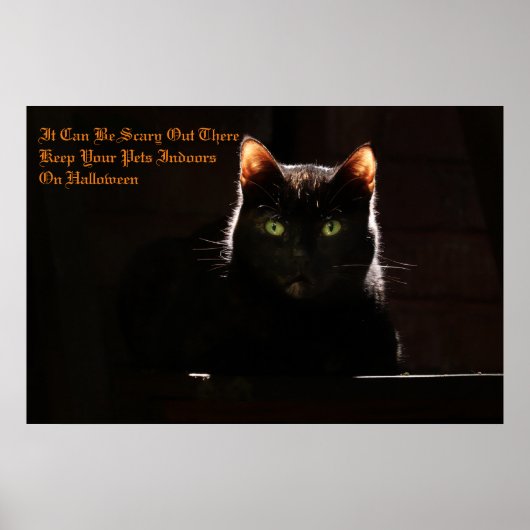 保ペット屋内 ポスター (正面)