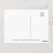 保ラブラドール ポストカード (裏面)