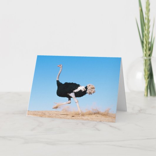 保ランニングOstrich Card サンキューカード (正面)