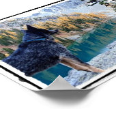 保全キナ「マックス」写真/ポスター ポスター (角)