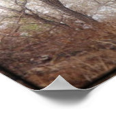 保全犬「スコビー」写真/プリント ポスター (角)