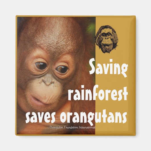 保全 マグネット (正面)