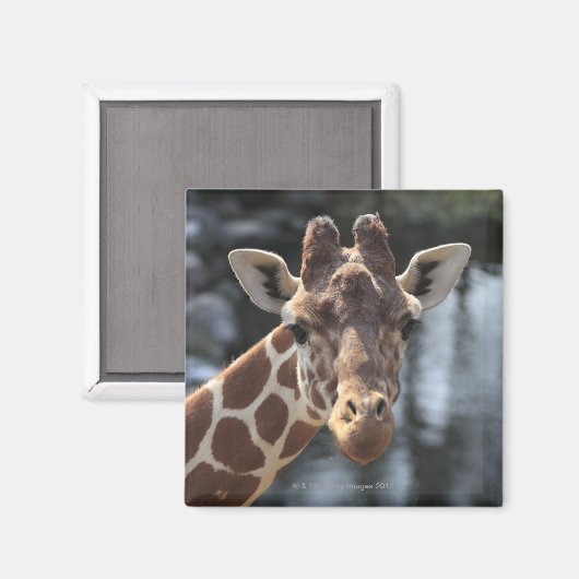 保土久保、日野市、東京、日本6 マグネット (正面/裏面)