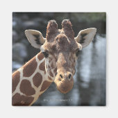 保土久保、日野市、東京、日本6 マグネット (正面)