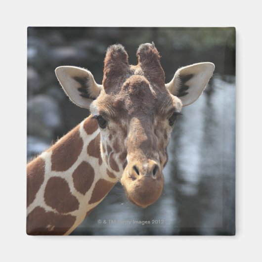 保土久保、日野市、東京、日本6 マグネット (正面)