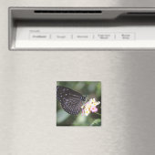 保土久保、日野、東京、日本5 マグネット (インサイチュ (食洗機))