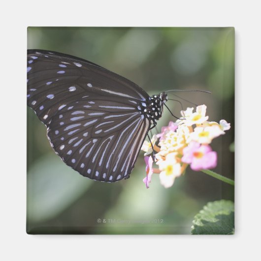 保土久保、日野、東京、日本5 マグネット (正面)