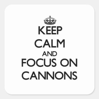 保大砲に集中 スクエアシール