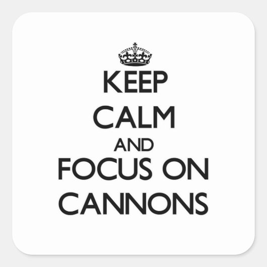 保大砲に集中 スクエアシール (正面)