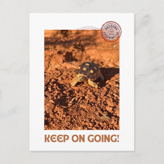 保女やる気を起こさせる亀 ポストカード (正面)