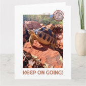 保女感動的亀 カード (正面)