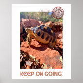 保女感動的亀 ポスター (正面)