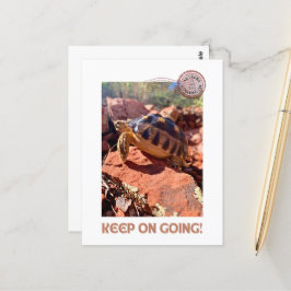 保女感動的亀 ポストカード