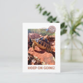 保女感動的亀 ポストカード (スタンド正面)