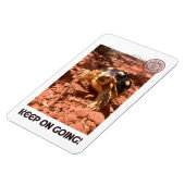 保女感動的亀 マグネット (左側)