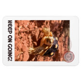 保女感動的亀 マグネット (横)