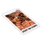 保女感動的亀 マグネット (右側)