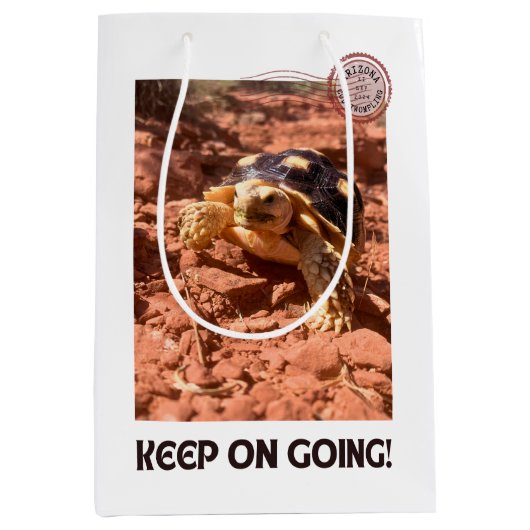 保女感動的亀 ミディアムペーパーバッグ (正面)