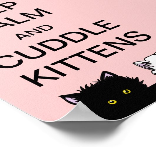 保子猫 ポスター (角)