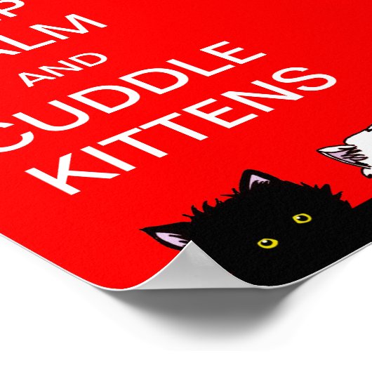 保子猫 ポスター (角)