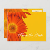 保存する日付、ガーベラデイジー花 案内ポストカード (正面/裏面)