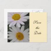 保存する日付，デイジーの花 案内ポストカード (正面/裏面)