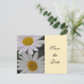 保存する日付，デイジーの花 案内ポストカード (スタンド正面)