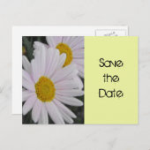 保存する日付，デイジーの花 案内ポストカード (正面/裏面)