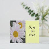 保存する日付，デイジーの花 案内ポストカード (スタンド正面)