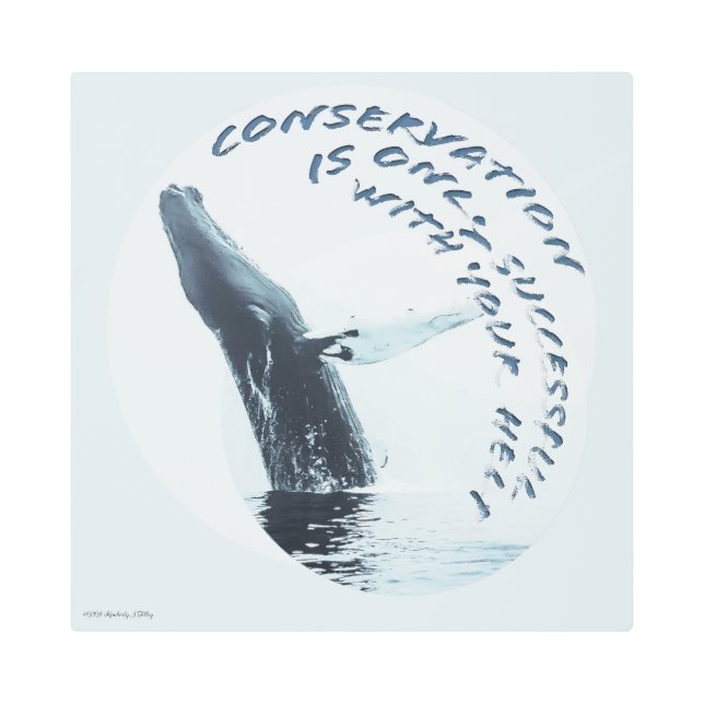 保存は次の場合にのみ成功救済す メタルプリント (正面)