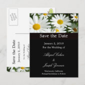 保存日付のポストカード、デイジー 案内ポストカード (正面/裏面)