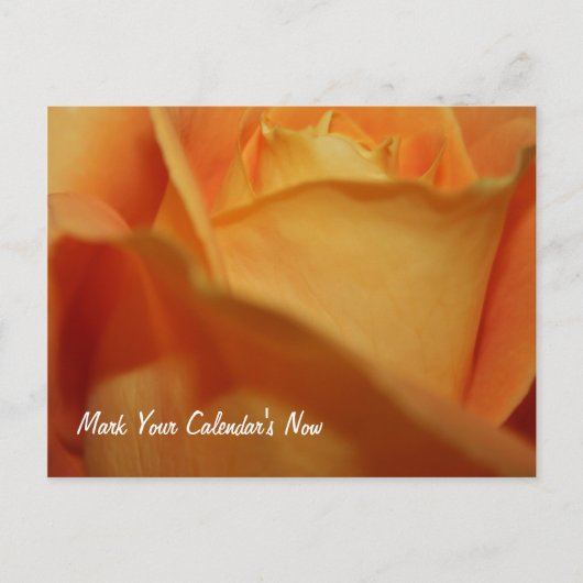 保存日付のポストカード 案内ポストカード (正面)